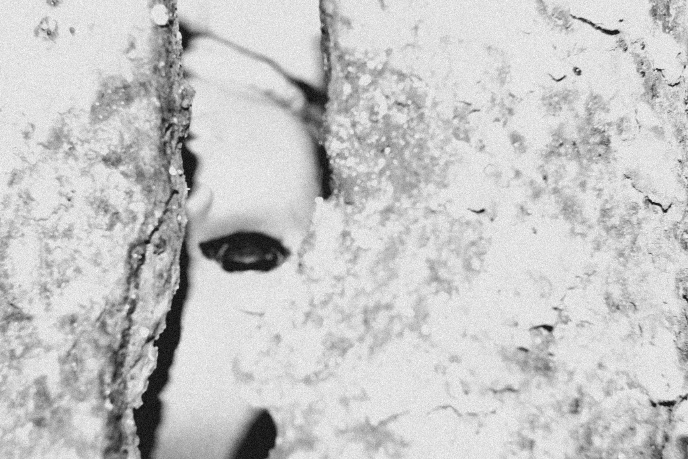 De frente y no me daño